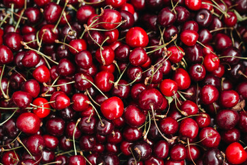 Close-up of ripe cherries. A large collection of fresh red cherries. Background of ripe cherries. View from above