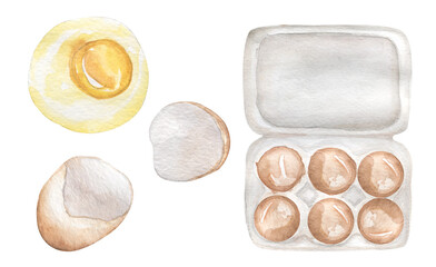 Watercolor eggs illustration set, egg shells, egg white, and egg yolk. Eggs in a package clipart. ingredient for recipes. Food for health.