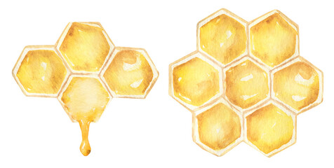 Set of watercolor honey combs clipart, honey drops and honeycomb illustration. Perfect for cards, invitations and posters. - 619704844