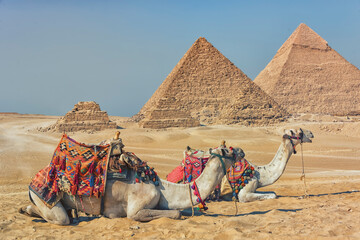 Fototapeta premium The Pyramids of Giza in Egypt