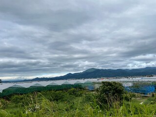 210702村山さくらぼ畑
さくらんぼ畑
曇り
ビニールハウス