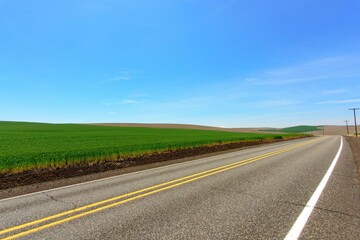 Fototapeta na wymiar Idyllic Spring Serenity: Panoramic View of Road Winding Through Lush Green Wheat Field, Unveiled in Stunning 4K Resolution