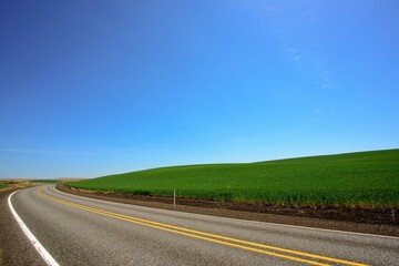 Idyllic Spring Serenity: Panoramic View of Road Winding Through Lush Green Wheat Field, Unveiled in Stunning 4K Resolution