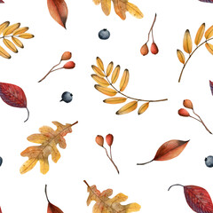 Fototapeta premium Yellow and red fall leaves and berries seamless pattern on white. Autumn botanical watercolor background illustration with hand drawn plants for fabrics and textiles