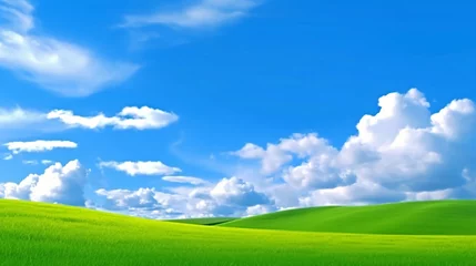 Foto op Canvas 青空と広い草原のイメージ　generative ai © tota