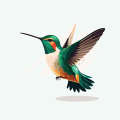 Fototapeta premium vector cute hummingbird cartoon style