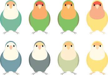 コザクラインコ　セット