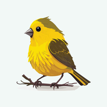 vector cute canary cartoon style