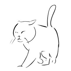 Walking cat portrait drawn in ink, vector illustration, quick sketch, line art