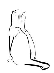 Walking cat portrait drawn in ink, vector illustration, quick sketch, line art