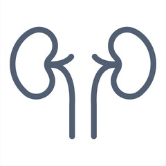 Kidney logo design vector template, Organs logo design concept, Icon symbol.Kidney outline icon medicine organ
