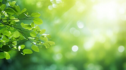 Fototapeta na wymiar Green Nature on Blur backgroud, Beautiful Nature as Spring Wallpaper. Generative Ai