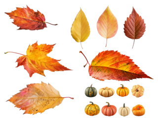 Set of autumn leaves and pumpkins isolated on transparent background. Generative AI.