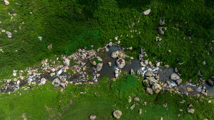 Aerial view tropical green forest and river with mountains in background, Green tree forest view from above river and forest.
