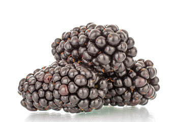 A few berries of ripe blackberries, macro, isolated on a white background.