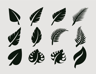Silhouette of organic leaf design template - obrazy, fototapety, plakaty