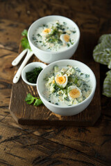 Traditional homemade cold soup with yogurt and herbs