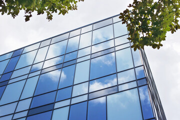 Fototapeta na wymiar Construction of a glass facade structure. Modern office building, glass and clouds, real-estate investing concept. Business center with a glass facade and tree branches