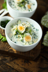 Traditional homemade cold soup with yogurt and herbs