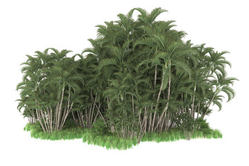 Tropical island isolated on transparent background. 3d rendering - illustration