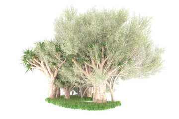 Tropical island isolated on transparent background. 3d rendering - illustration