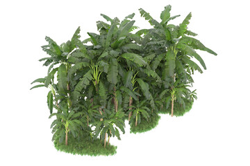 Tropical island isolated on transparent background. 3d rendering - illustration