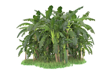 Tropical island isolated on transparent background. 3d rendering - illustration