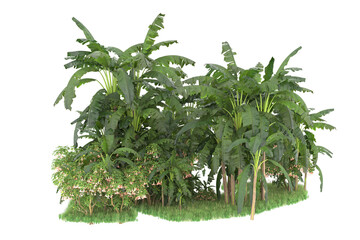 Tropical island isolated on transparent background. 3d rendering - illustration