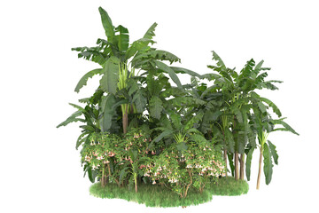 Tropical island isolated on transparent background. 3d rendering - illustration