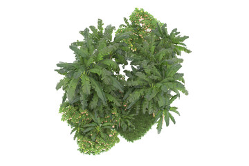 Fototapeta premium Tropical island isolated on transparent background. 3d rendering - illustration