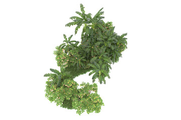 Tropical island isolated on transparent background. 3d rendering - illustration