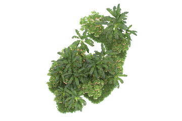 Tropical island isolated on transparent background. 3d rendering - illustration