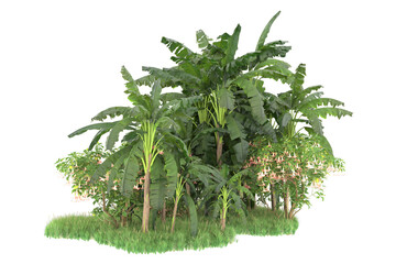 Tropical island isolated on transparent background. 3d rendering - illustration