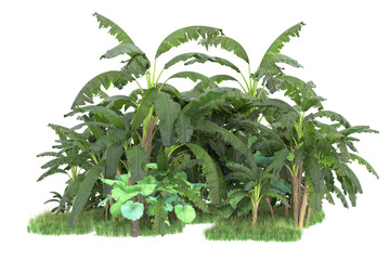 Tropical island isolated on transparent background. 3d rendering - illustration