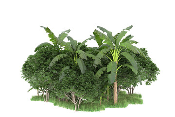 Tropical island isolated on transparent background. 3d rendering - illustration