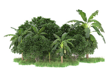 Tropical island isolated on transparent background. 3d rendering - illustration