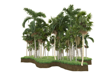 Tropical island isolated on transparent background. 3d rendering - illustration