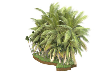 Tropical island isolated on transparent background. 3d rendering - illustration