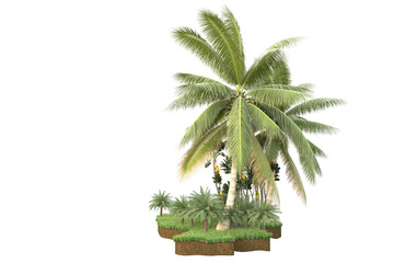 Obraz premium Tropical island isolated on transparent background. 3d rendering - illustration