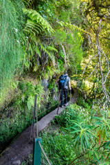 Fototapeta premium Hiker walking on a narrow path along levada Caldeirao Verde (irrigation canal) in the island of Madeira, Portugal