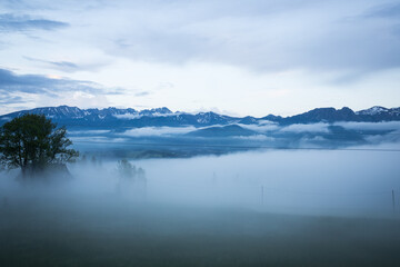 Fototapeta premium Mountains and tree tops in the clouds. Cloudy weather in the mountains. Mountain view from the villa. Clear blue sky and floating clouds at camera level.