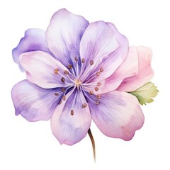 Naklejka premium Colorful Flower watercolor illustration on a white background. Generative AI