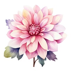 Colorful Flower watercolor illustration on a white background. Generative AI