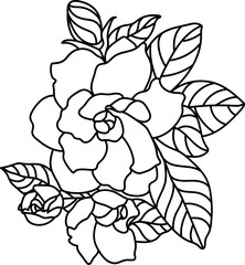 Gardenia line drawing vector, black,hand drawn flower 