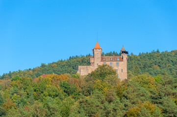 Landschaft mit Blick zur Burg Berwartstein bei Erlenbach. Region Pfalz im Bundesland Rheinland-Pfalz in Deutschland