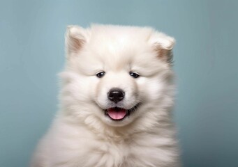 AI generated illustration of an adorable pup on a vibrant blue backdrop
