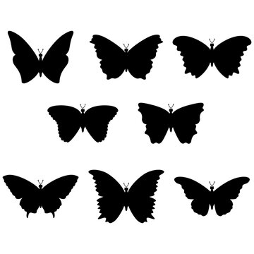 set, silhouette butterfly