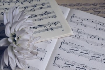 White flower on music scores 