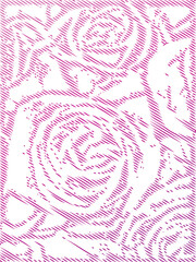 Abstract illustration of pink rose petals