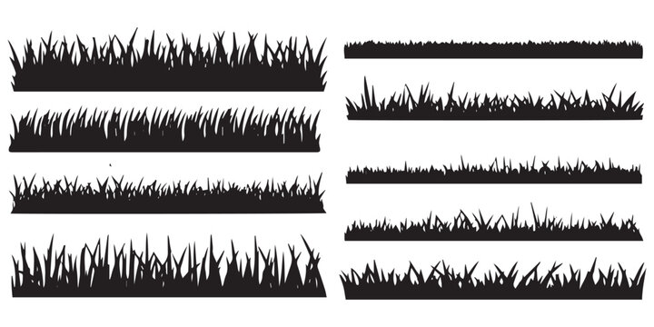 A set of silhouette Grass vector illustration 